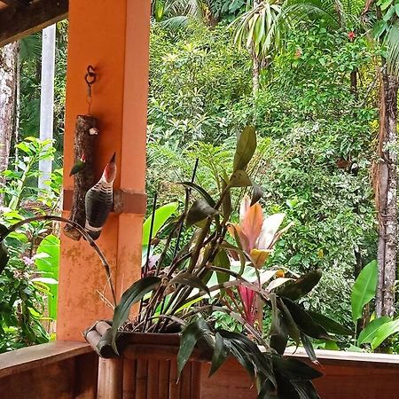 Casa Aconchegante Em Morretes No Meio Da Natureza! 외부 사진