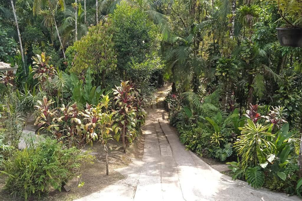 Casa Aconchegante Em Morretes No Meio Da Natureza! 외부 사진