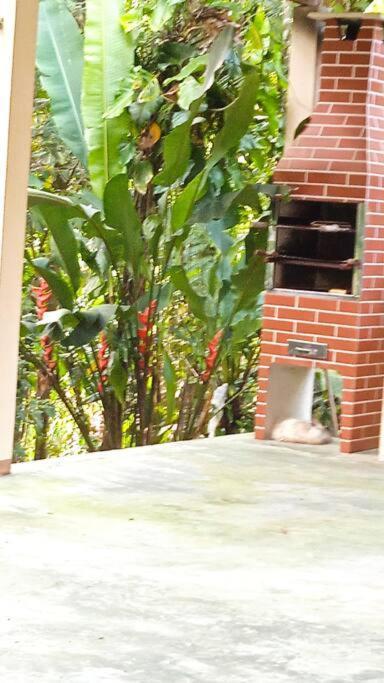 Casa Aconchegante Em Morretes No Meio Da Natureza! 외부 사진