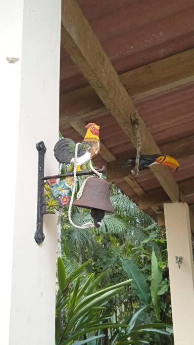 Casa Aconchegante Em Morretes No Meio Da Natureza! 외부 사진