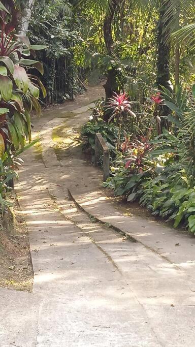 Casa Aconchegante Em Morretes No Meio Da Natureza! 외부 사진