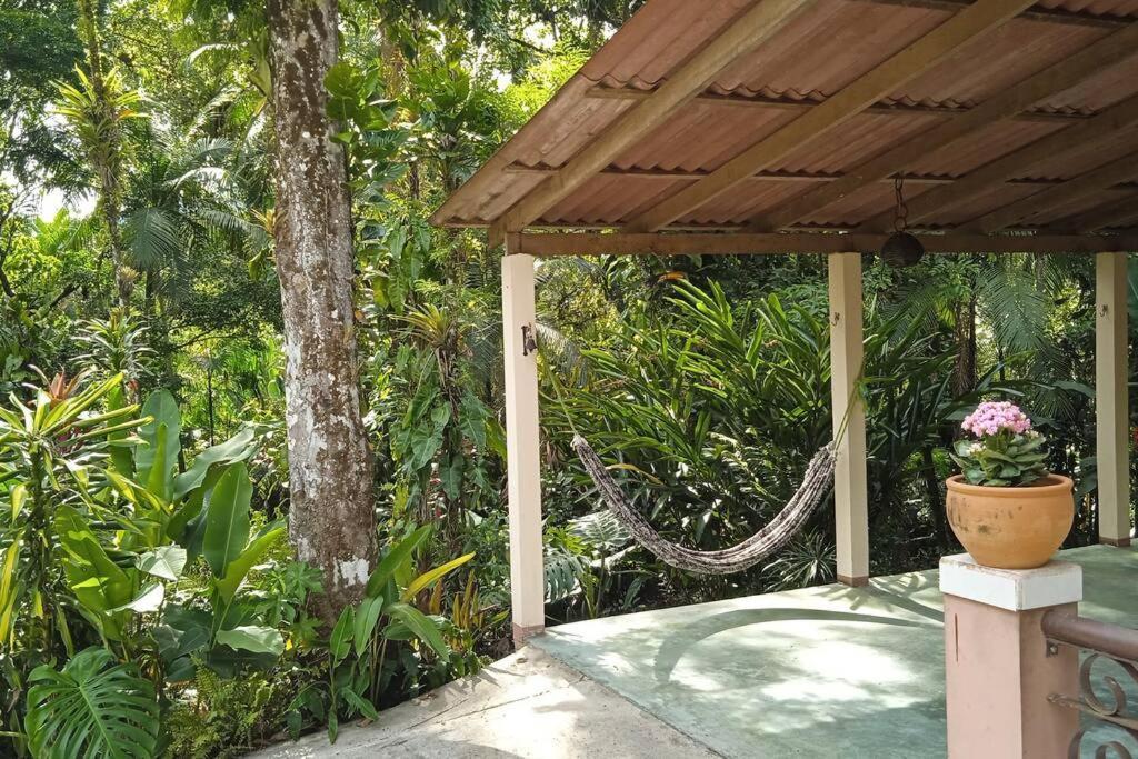 Casa Aconchegante Em Morretes No Meio Da Natureza! 외부 사진