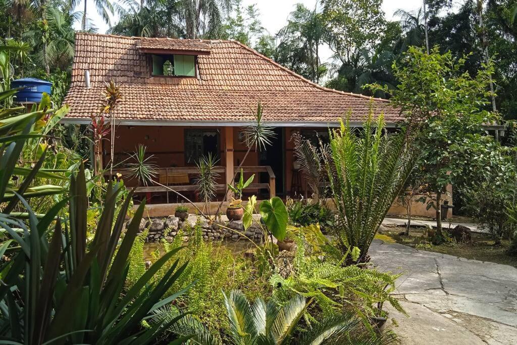 Casa Aconchegante Em Morretes No Meio Da Natureza! 외부 사진