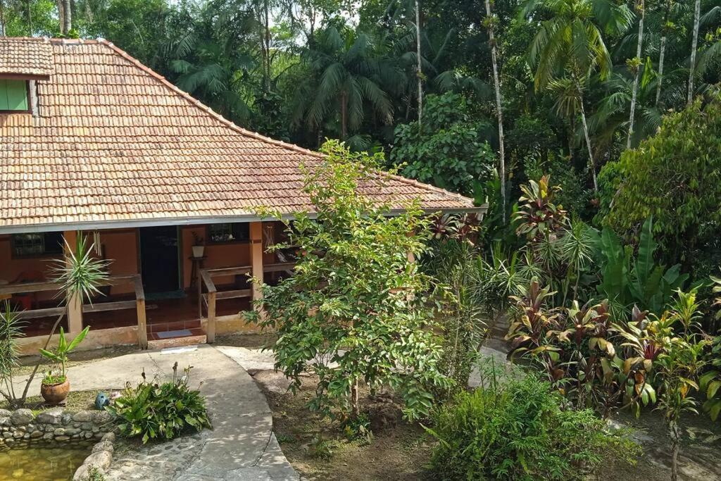 Casa Aconchegante Em Morretes No Meio Da Natureza! 외부 사진