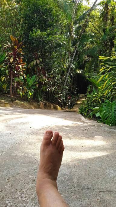 Casa Aconchegante Em Morretes No Meio Da Natureza! 외부 사진