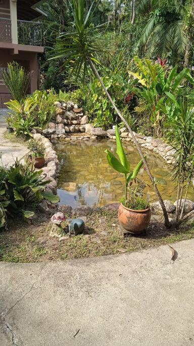 Casa Aconchegante Em Morretes No Meio Da Natureza! 외부 사진