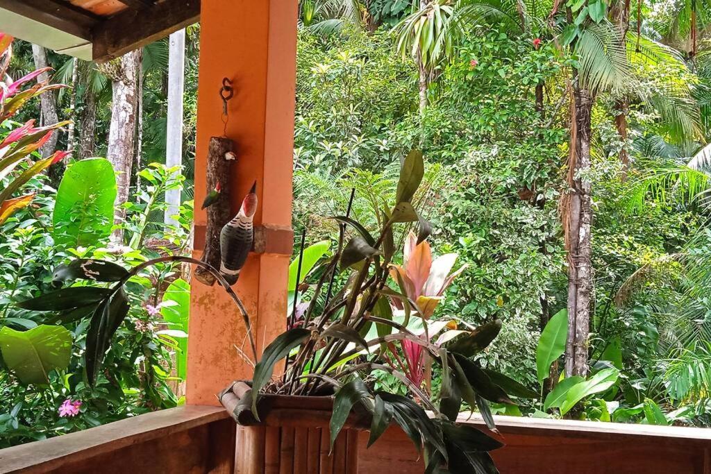 Casa Aconchegante Em Morretes No Meio Da Natureza! 외부 사진