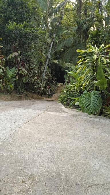Casa Aconchegante Em Morretes No Meio Da Natureza! 외부 사진