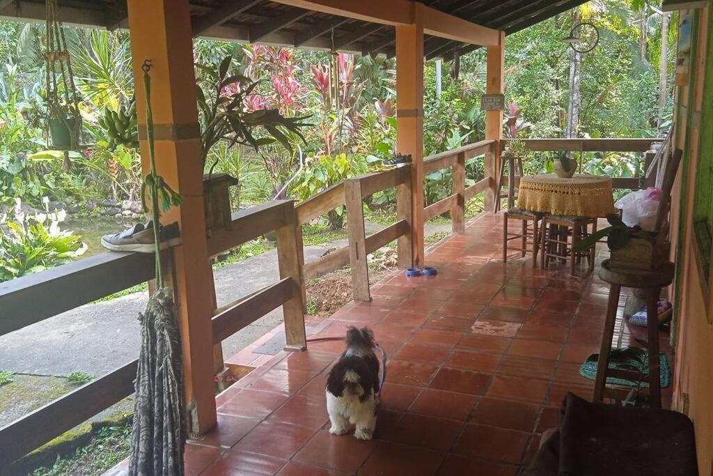 Casa Aconchegante Em Morretes No Meio Da Natureza! 외부 사진