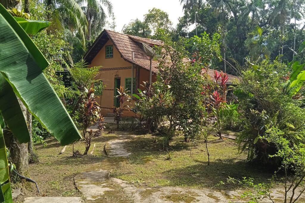 Casa Aconchegante Em Morretes No Meio Da Natureza! 외부 사진